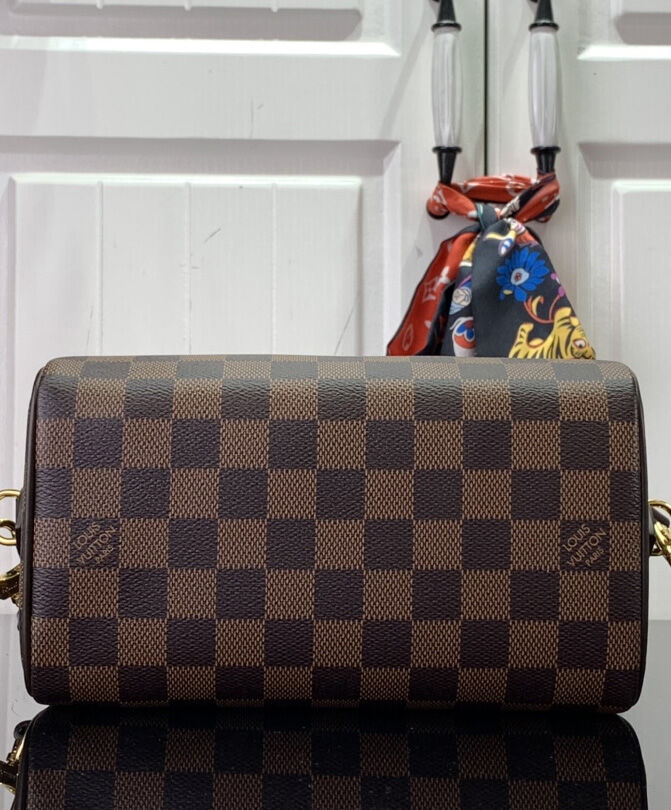 Louis Vuitton Speedy Bandouliere 20 N40489 Brown